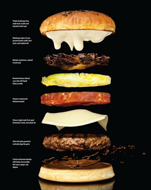 Name:  20110131-modernist-cuisine-burger-thumb-500x630-137237.jpg
Views: 502
Size:  81.3 KB