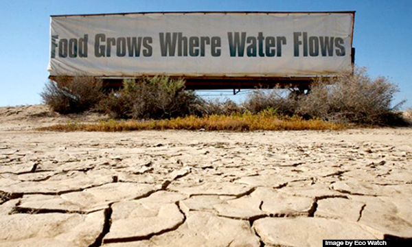 Name:  drought-signs-in-CA-3.jpg
Views: 215
Size:  180.7 KB