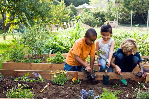 Name:  community-garden-kids-plant-.jpg
Views: 609
Size:  61.4 KB