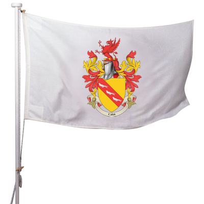 Name:  coat-of-arms-flag.jpg
Views: 575
Size:  100.7 KB