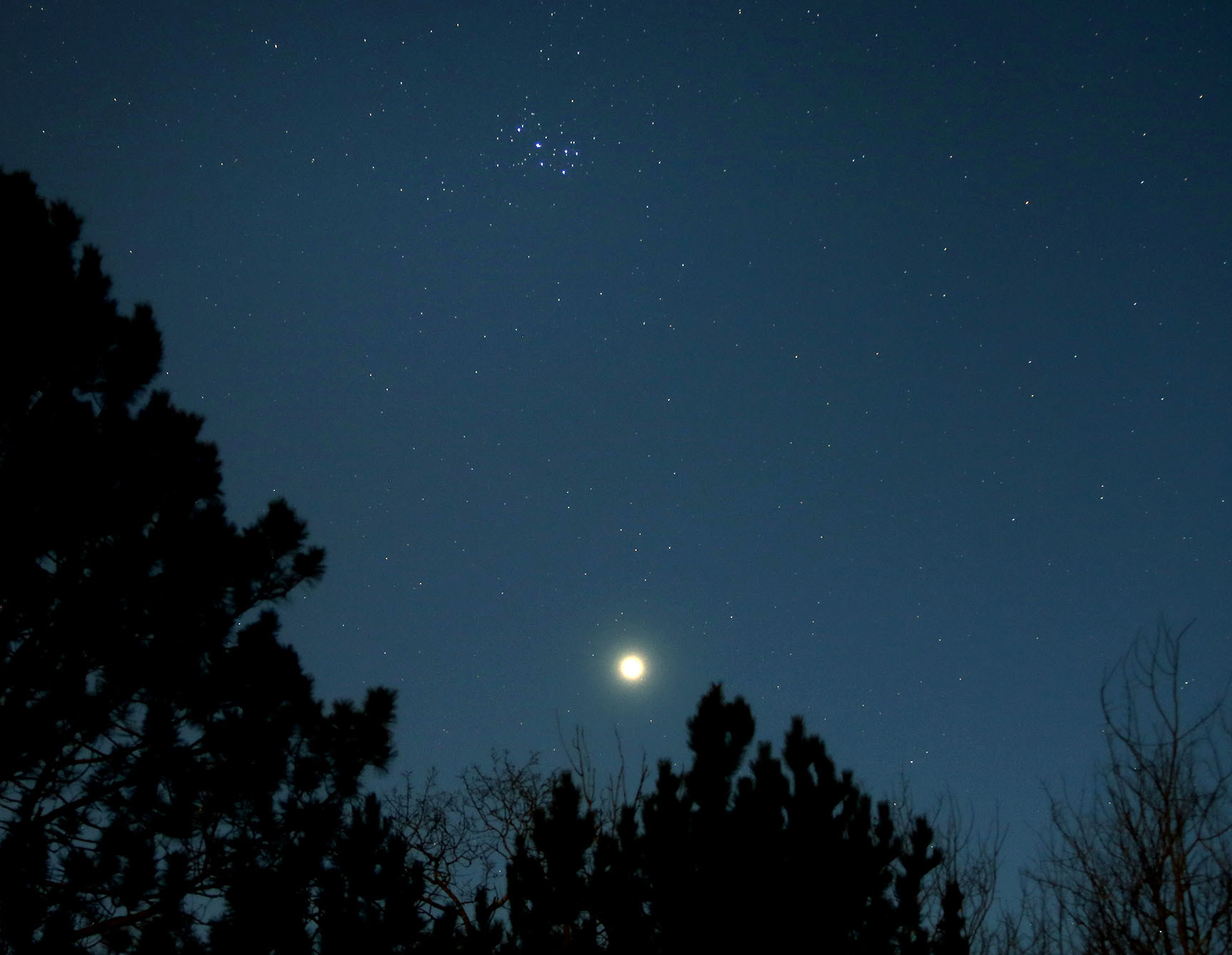 Name:  Venus-Pleiades-April-4_2015S.jpg
Views: 342
Size:  193.6 KB