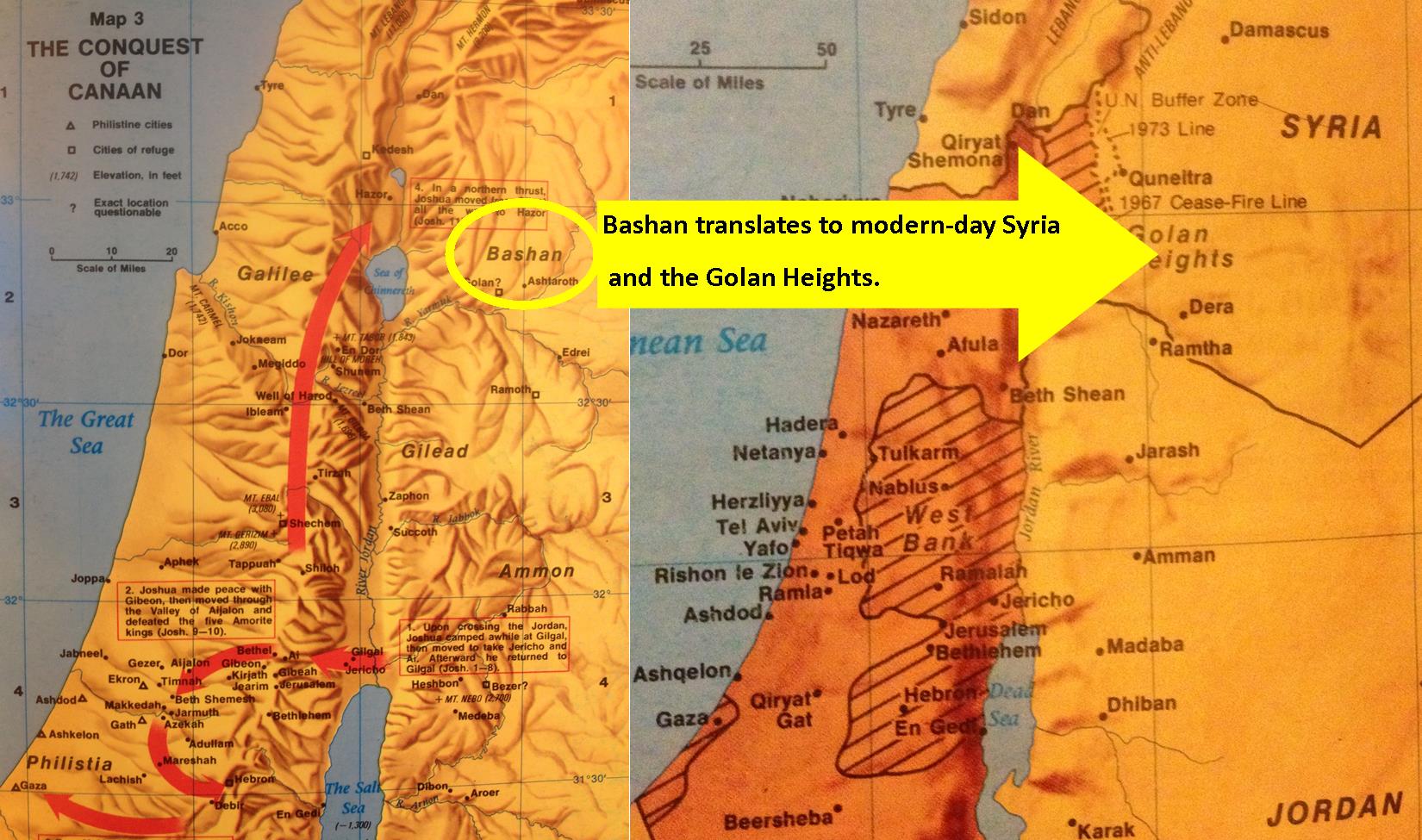 Name:  bashan-is-modern-day-syria-and-the-golan-heights1.jpg
Views: 428
Size:  257.8 KB
