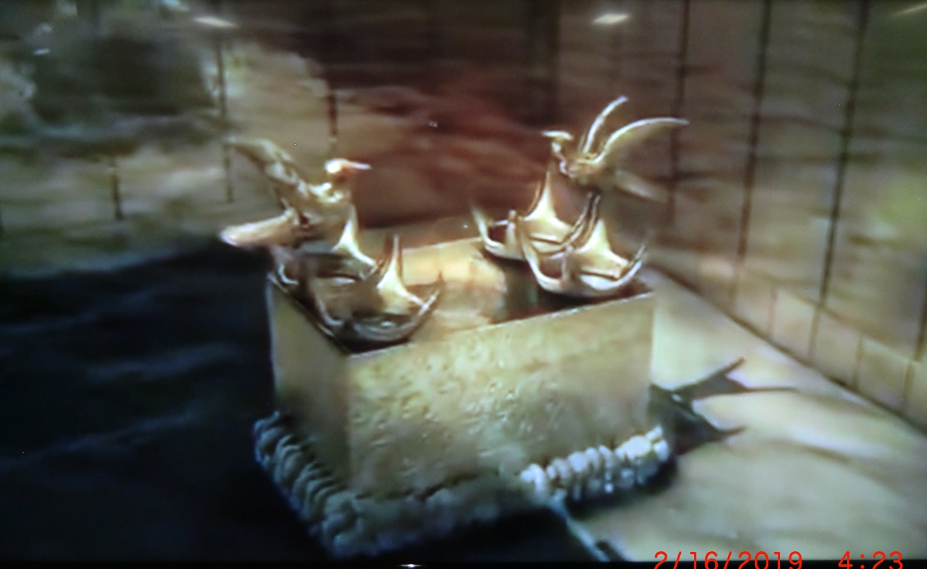 Name:  ark of the covenant.jpg
Views: 1894
Size:  211.5 KB