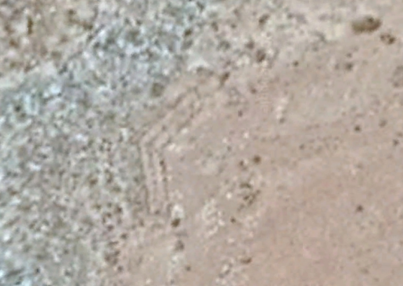 Name:  Altar of Moses corral satellite.jpg
Views: 644
Size:  183.5 KB