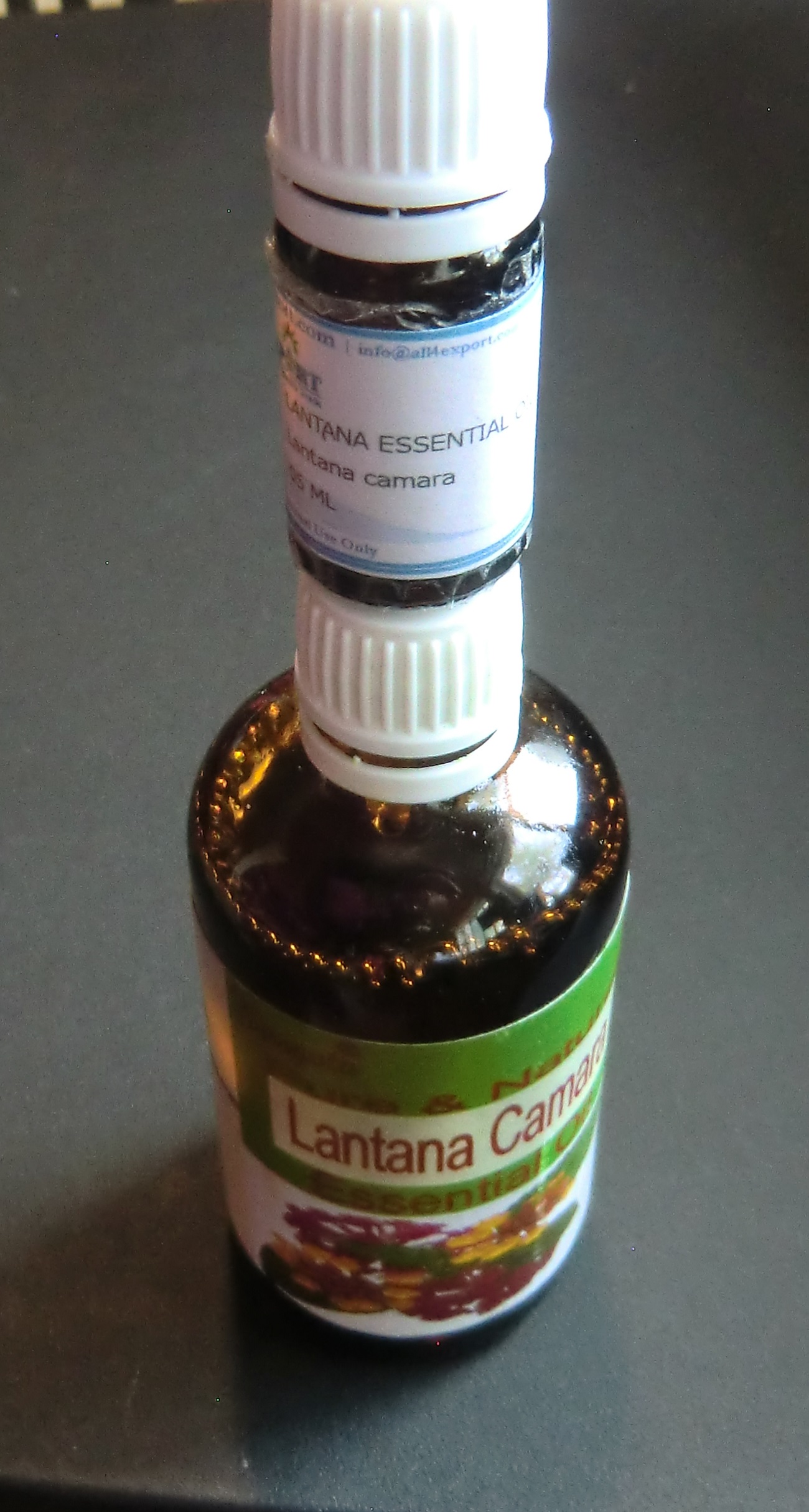Name:  lantana camara Sri Lanka Plant wild red sage oils.jpg
Views: 275
Size:  599.5 KB