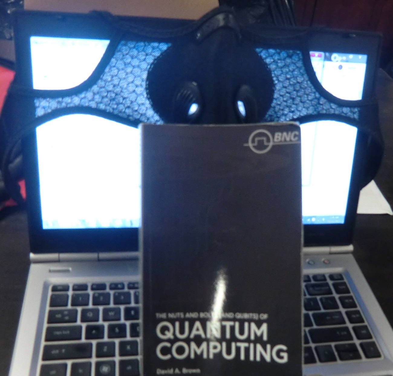 Name:  Quantum Computing book unmasked.jpg
Views: 366
Size:  328.3 KB