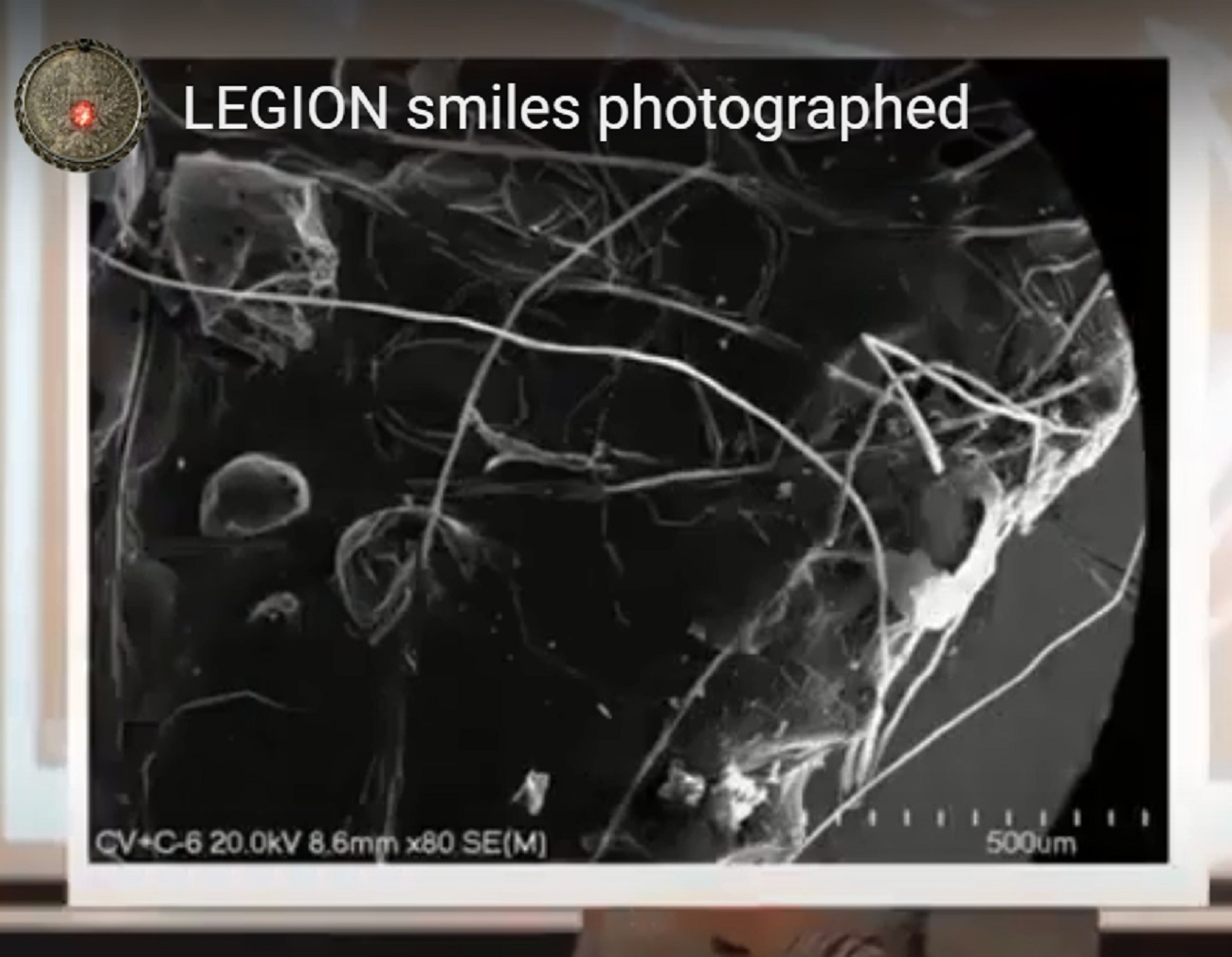 Name:  LEGION - Axon Parasitic 4 days 2500 2.jpg
Views: 176
Size:  206.9 KB