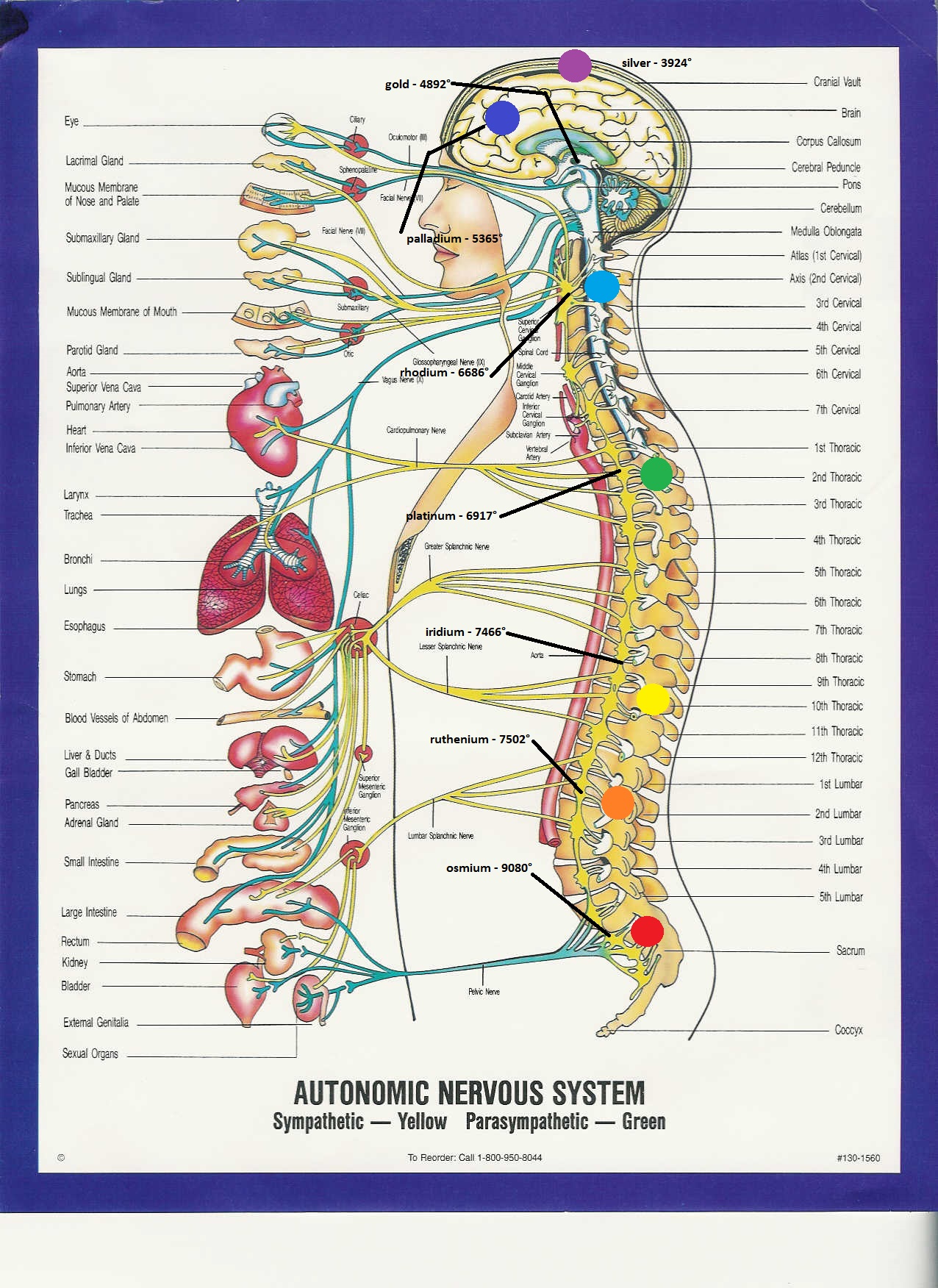 Click image for larger version
Name: autonomic nervous system metals boiling point.jpg
Views: 2
Size: 558.9 KB
ID: 48255
