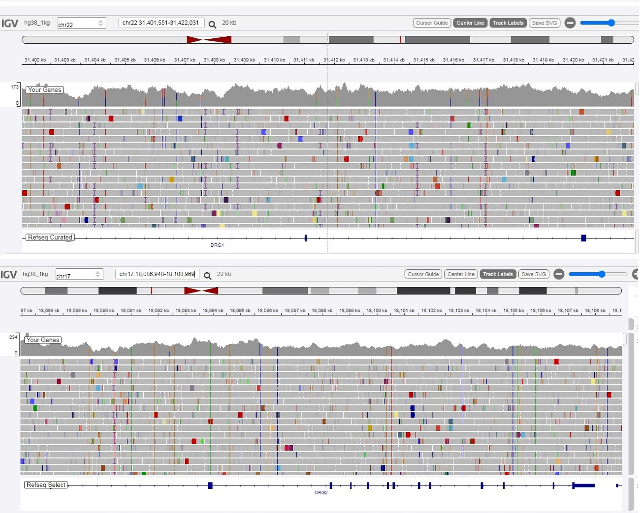 Click image for larger version  Name:	Dragon Band in my genome.jpg Views:	0 Size:	393.6 KB ID:	61477