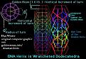 dodecahedron primary colors.jpg