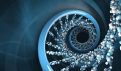 DNA Fibonacci.png