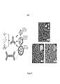 MIT NAV US Patent App #61544014 buckeyballs carbon 60 fullerenes_Page_11.jpg